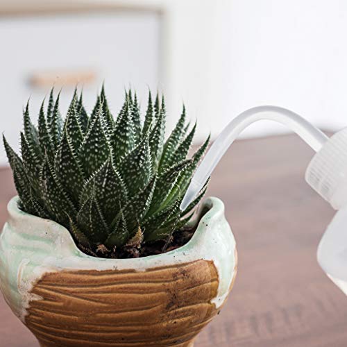 Small Watering can for Indoor Plants, Squeeze Wash Bottle for Succulent Watering, Irrigation Bottle for Plant Watering, Rinse Bottle for Tattoo, Eyelash, Eye wash, Lab, 250ML+500ML/8OZ+17OZ - view 4
