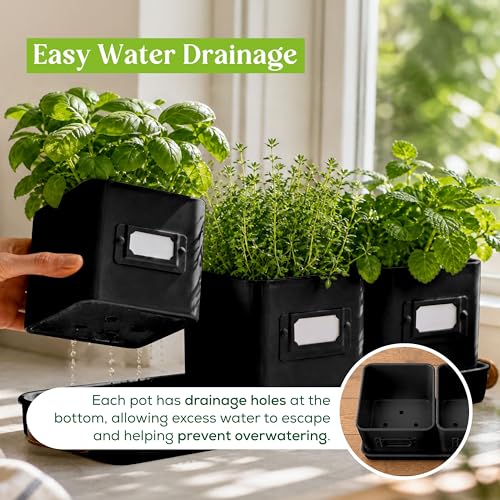 Herb Planter Indoor - Set of 3 Black Indoor Herb Garden Pots for Plants with Leather Handled Tray - Window Sill Plant Shelf - Herb Pots with Drainage Holes and Labels - view 4
