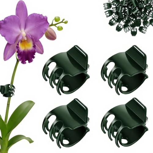 50Pcs Dark Green Large Orchid Plant Clips for Thick Stem Support