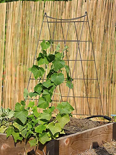 Gardeners Supply Company Wire A-Frame Trellis | Strong and Sturdy Metal Outdoor Garden Trellis Plant Support for Cucumbers, Squash, Vine Herbs & Other Climbing Plants