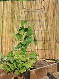 Gardeners Supply Company Wire A-Frame Trellis | Strong and Sturdy Metal Outdoor Garden Trellis Plant Support for Cucumbers, Squash, Vine Herbs & Other Climbing Plants