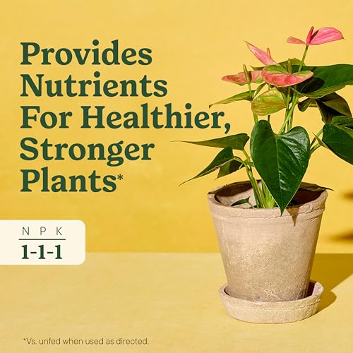Indoor Plant Food for All Plants, 8 fl. oz. (2-Pack) - view 4