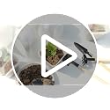 10 Packs Clear Plant Nursery Pot with Humidity Dome, Plastic Gardening Pot - view 7