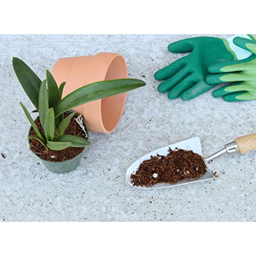 Terrarium Potting Soil Mix (4 Quarts) w/Blended Filtering Charcoal Custom Made for Terrariums - view 5