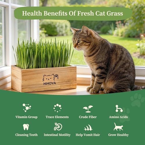 Cat Grass Kit for Indoor Cats - 5 Packets of Seeds, Cat Grass Planter Wooden Growing Kit, 5-Time Plant Starter Pack with 6 Soil Discs, Trimming Scissors, Spray Bottle, and Mini Tools - view 2