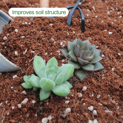 Perlite for Plants 4 Quarts, Horticultural Perlite Soil for Plants Potting Mix, Amendment for Plants Indoor&Outdoor, Enhanced Water Drainage and Ventilation, Promote Root Growth (3-6mm) - view 7