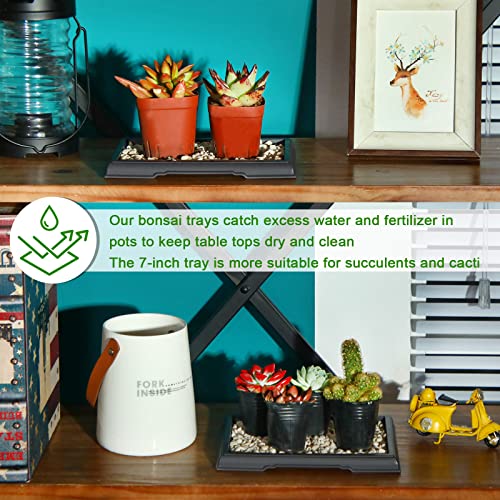 2 Pcs Bonsai Humidity Tray for Indoor Plants,7.8 X 5.5 Inch - view 4