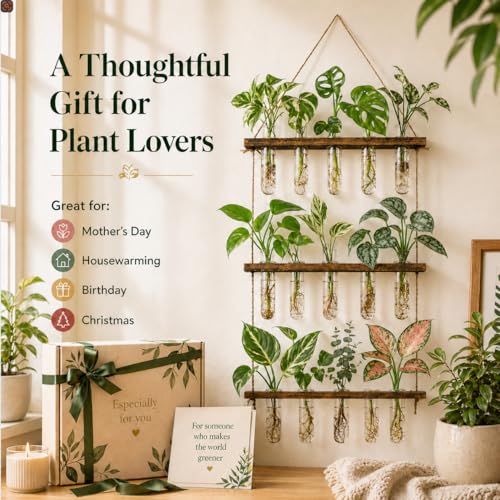 3 Tier Wall Hanging Propagation Stations with 15 Glass Test Tubes, Plant Terrarium Propagation Tubes Planter for Hydroponic Cuttings, Window Decor Gift for Plant Lovers - view 2