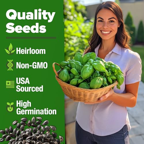 Large Red Cherry Tomato Seeds 2 Pack (Solanum lycopersicum) - Approx.1000 & Genovese Basil Seeds 2 Pack - 3500 Non GMO - view 6