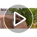 30Pcs 16 Inch Garden Stakes Bamboo Sticks Decorative Garden Wood Stakes for Plants, Wooden Plant Support Sticks, Small Stakes for Garden with Garden Ties and Nylon Plant Tie Strap - view 7