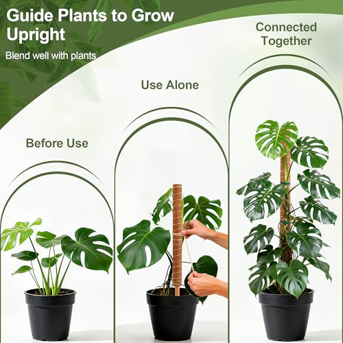 48 Inch Monstera Plant Support, 4 Pack 16 inch Moss Pole for Monstera & Climbing Plants Coco Coir Plant Support, Plant Ties Included - view 3