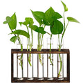 5Test Tube Plant Propagation Station Plant Terrarium Wooden Stand