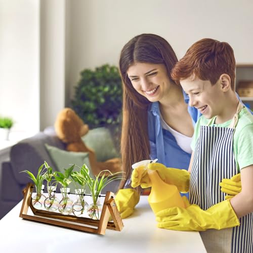 Plant Terrarium with Wooden Stand Desk Plant 5 Bulb Vase - view 3