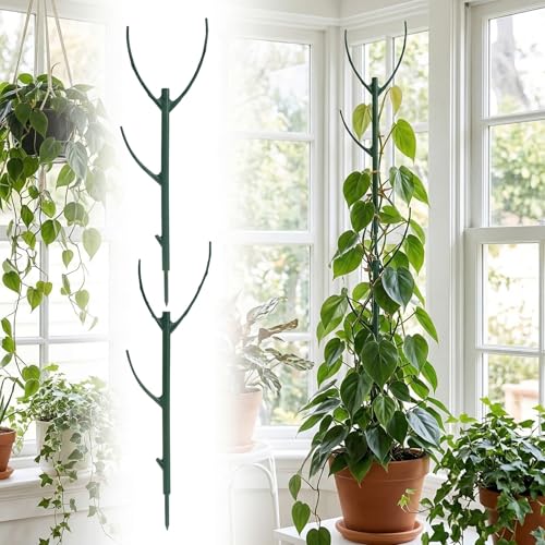 5 Pack Plant Stakes for Indoor Plants, Stackable Tomato Support - view 7