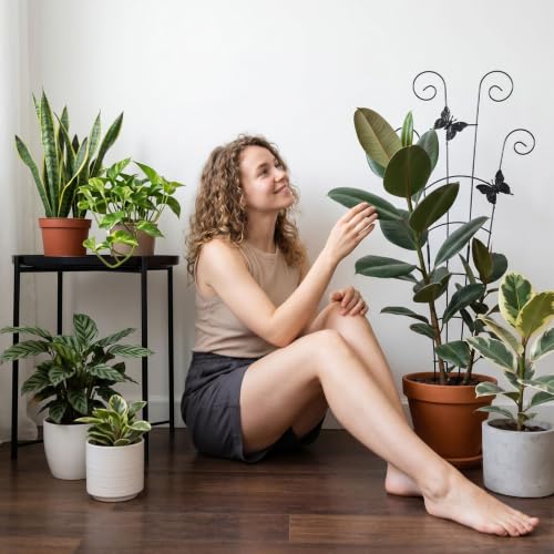 2 Pack 30 in Adjustable Plant Trellis Thickened Rust-Proof Metal Climbing Support Expandable 15-30 Inch Indoor Outdoor Garden Trellis for Pothos Ivy Monstera with Plant Ties - view 2