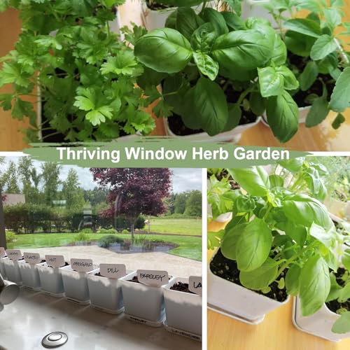Indoor Herb Garden Kit – 10 Non-GMO Herb Seeds with Soil, Pots & Moisture Meter – Easy Windowsill Gardening Starter Set – Unique Gift for Gardeners, Home Chefs & Families - view 6