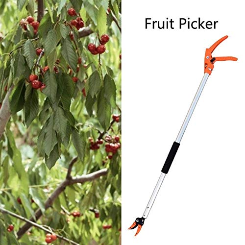 Pruning Shears, Garden Loppers Long Handle 0.6-1M Extra Long Telescopic Fruit Picker Tree Cutter Garden Supplies Quality Gardening Tool (0.8m) (0.8m) - view 3