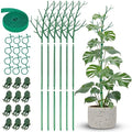 39.5" Comprehensive Plant Support Stake Set of 6 - Durable