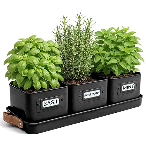 Herb Planter Indoor - Set of 3 Black Indoor Herb Garden Pots for Plants with Leather Handled Tray - Window Sill Plant Shelf - Herb Pots with Drainage Holes and Labels