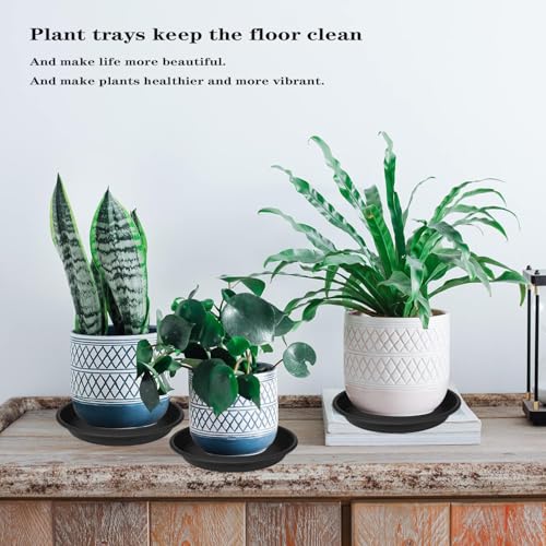 6 Pack Plant Saucer 8 inch, Heavy Duty Plastic Plant Water Tray, Planter Saucers, Flower Pot Tray, Planter Tray, Bird Bath Bowls, Water Trays for Plant Pots 7"/8" (Black) - view 7