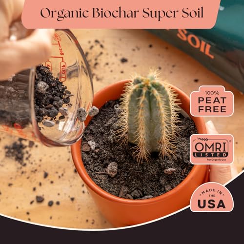 Cactus & Succulent Potting Mix, 4 Quarts - view 2