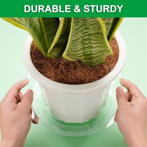 24 Pack Clear Plant Saucers - 6, 8, 10, 12 Inch Plastic Plant Trays for Pots, Flower Pot Saucers, Indoor & Outdoor Planter Drip Tray for Water Drainage & Protection - view 4