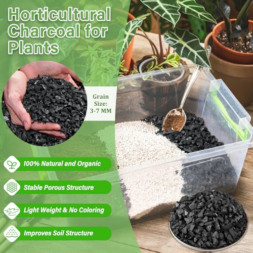 2 QT Horticultural Charcoal- Natural Biochar Soil Amendment - view 2