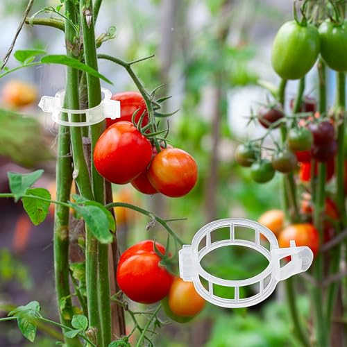 180 Pcs Plant Support Clips, Clear Plastic Trellis Clips, Garden Clips, Vegetable Clips, Vine Tomato Clips for Plants Support, Plant Clips for Climbing Plants to Grow Upright & Healthier - view 7