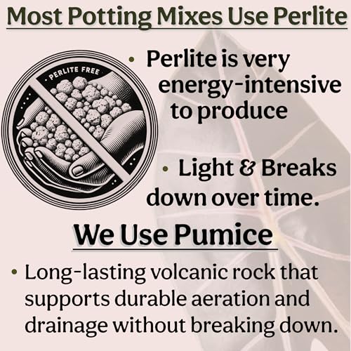Craft Houseplant Potting Mix, Organic Indoor Potting Soil for House Plants, Chunky Well Draining Plant Soil for Pothos, Snake Plant & Tropical Plants, Peat Free, 2 Quart - view 7