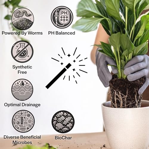 Craft Houseplant Potting Mix, Organic Indoor Potting Soil for House Plants, Chunky Well Draining Plant Soil for Pothos, Snake Plant & Tropical Plants, Peat Free, 2 Quart - view 3