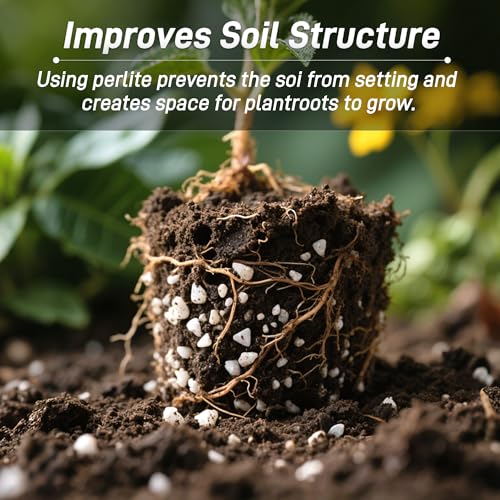 3 Quarts Chunky Perlite for Plant Soil Amendment for Potting Soil, Improves Drainage and Aeration for Soil, Ideal for Succulents, Orchid, Flower Plants (1/4 inch) - view 5