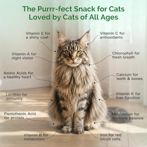 Cat Grass Growing Kit – 6 Cans, Non-GMO Organic Wheat Seeds - view 5