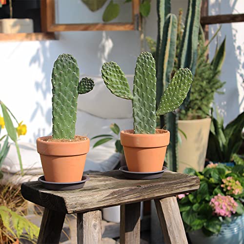 22 Pack 3.55 Inch Gray Plastic Round Plant Pot Saucer - view 4