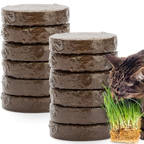 Potting Soil for Indoor/Outdoor Plants, Expands to Fit 3 Inch and 4 Inch Pots - 12 Pack