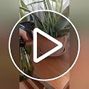 Watering Can for Indoor Plants, Plant Mister Spray Bottle with Detachable Nozzle for Plants,Succulents, Garden Flowers Mist Small Modern Translucent Sprayer Bottle for Bonsai Plants (Green) - view 7