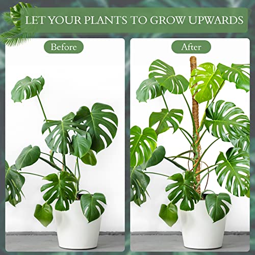 2 Pack Moss Pole for Plants Monstera - 25 Inch Plant Stakes for Indoor, Moss Poles for Climbing Plants, Handmade Coco Coir Pole Plant Support for Creeper Plants Grow Upwards（Handmade Palm） - view 6