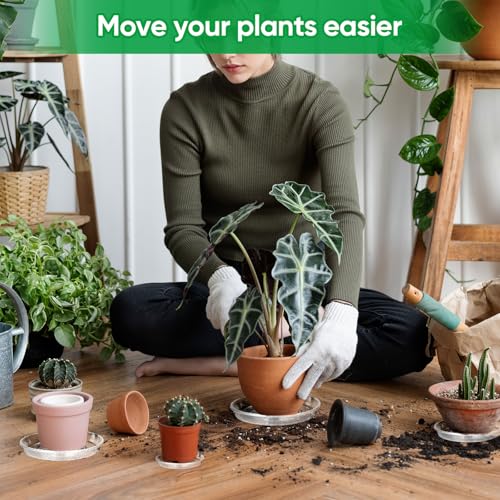 20 Pack Plant Saucer Tray, 6/8 /10/12 inch Heavy Duty Flower Pot Trays, Plastic Plant Saucer for Indoor & Outdoor Plants, Plant Trays to Catch Water, 5 Pieces of Each Size - view 5