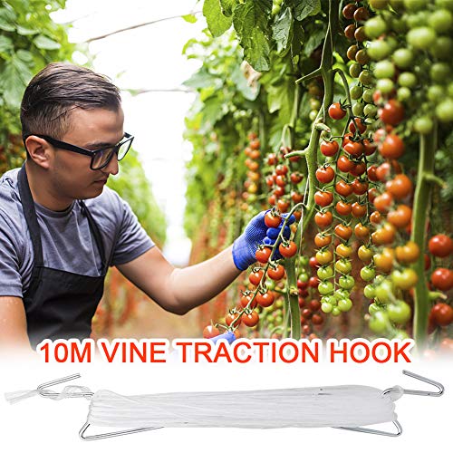 Plant Climbing Hooks, Tomato Support J Hook Garden Hooks to Prevent Tomatoes from Pinching or Falling Off (20Pcs) - view 2