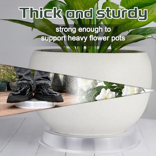 6 Pack Plant Saucers (6inch /8inch /10inch),Heavy Sturdy Plant Trays Pot Tray for Indoor Clear Plastic Flower Pot Saucers Thicker Plant Water Drip Trays for pots(6" 8" 10") - view 5