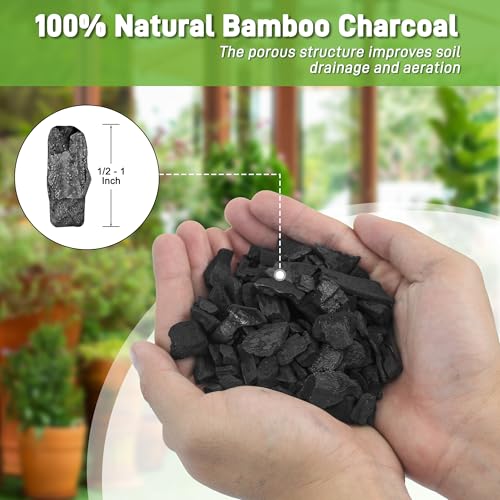 2QT Horticultural Charcoal for Plants - view 2