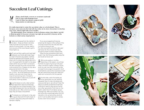 Root, Nurture, Grow: The Essential Guide to Propagating and Sharing Houseplants - view 3