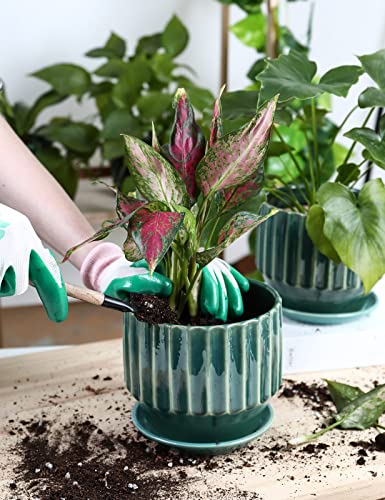 Plant Pots 6 inch Ceramic Pots for Indoor Plants Set of 2 Flower Pots Unique Crackle Glaze Design Plant Pots with Drainage Hole and Saucer Come with Drainage Nets (Aqua Green) - view 6
