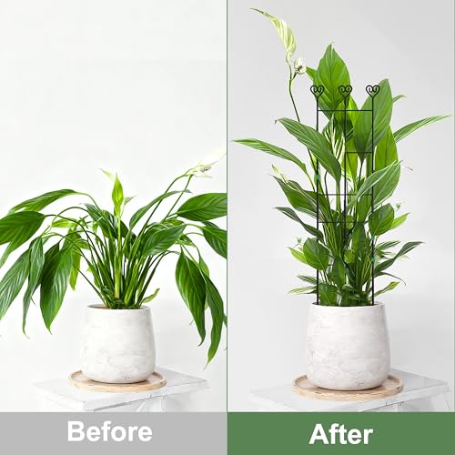 32in Monstera Plant Support Trellis for Indoor Plants, 4P - view 4