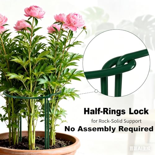 6 Pack Plant Support Stakes Peony Cage 10" W x 24" H Heavy Duty Ring Metal Garden Support Structures Plant Cage with Ties for Indoor Flower Outdoor Tomato Hydrangea Monstera - view 4