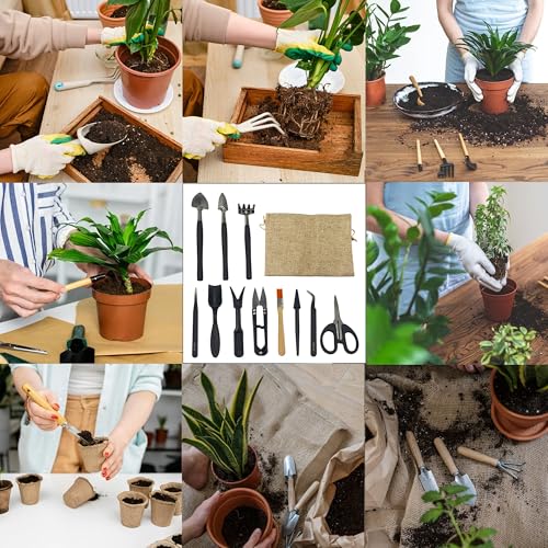 13Pcs Succulent Tools Set Mini Garden Tools Kit for Indoor Bonsai Cactus Care with Pruning Shears Scissors Transplanting Tools for Houseplant - view 6