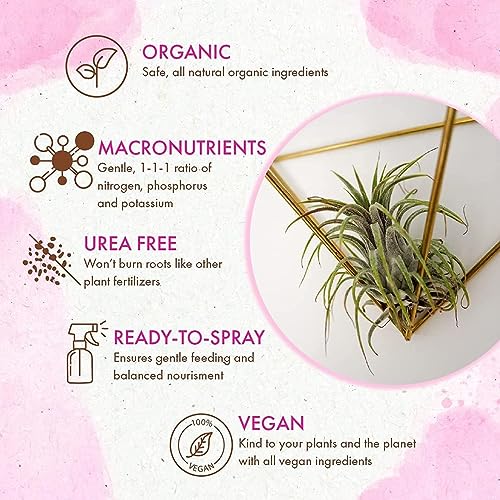 Organic Ready to Spray Air Plant Food - Fertilizer Mist for Weekly Use - Best for Live Tillandisa, Bromeliads, and Other Common Air Plants (8 oz) - view 4