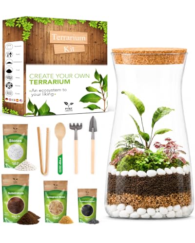 Terrarium Kit for Plants DIY - view 2