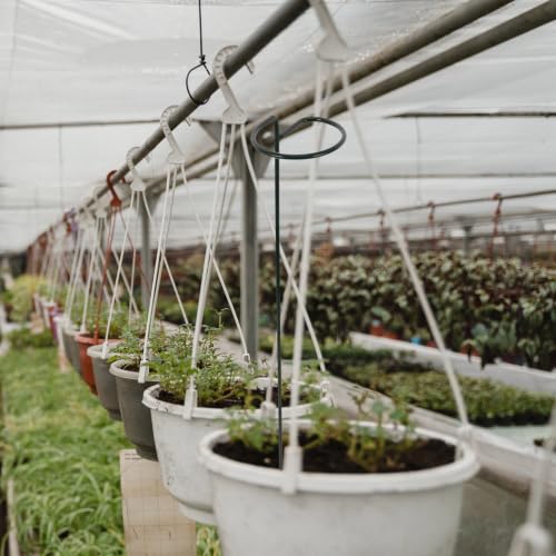 8pcs Iron Plant Support Stakes, Green Single Stem Guides - view 4