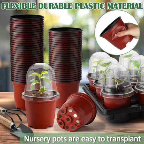4 Inch 60 Pack Nursery Pots with Humidity Domes & 5 Pack 12 Cell Round Seedling Pot Carrying Trays, Sturdy Seeds Starter Pot Germination Set, Small Planter Nursery Propagation 5 Sets - view 6