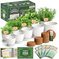 Indoor Herb Garden Starter Kit with 10 USDA Organic Seeds and Pots